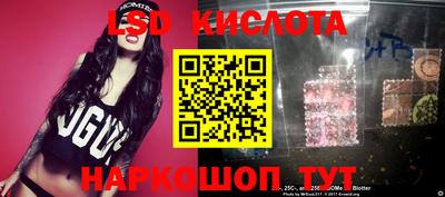 гидропоника Камышлов