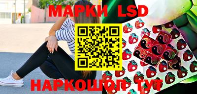 гидропоника Камышлов