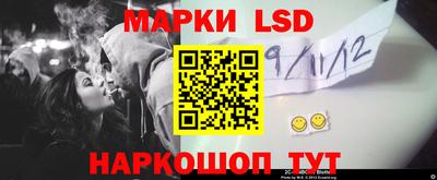 гидропоника Камышлов