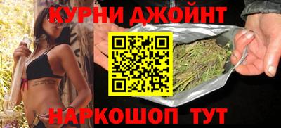 гидропоника Камышлов
