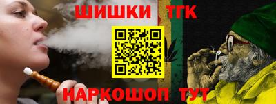гидропоника Камышлов