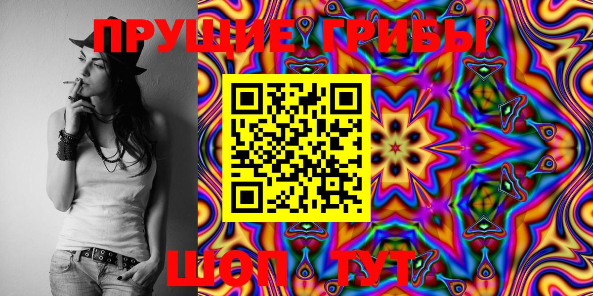 Галлюциногенные грибы Psilocybe  Вход с VPN  Кунгур 
