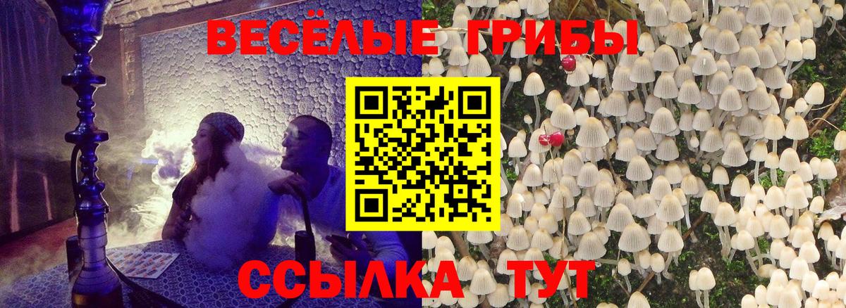 МЕФ Кунгур